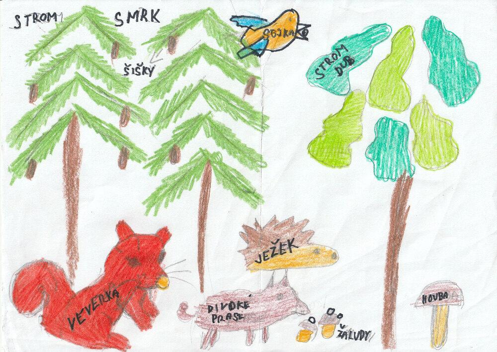 Výstupy druháčků z domácího i školního učení 16. 6. - 6