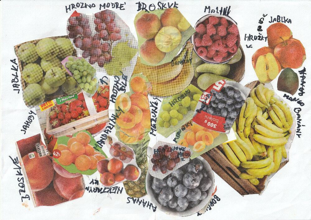 Výstupy druháčků z domácího i školního učení 16. 6. - 7