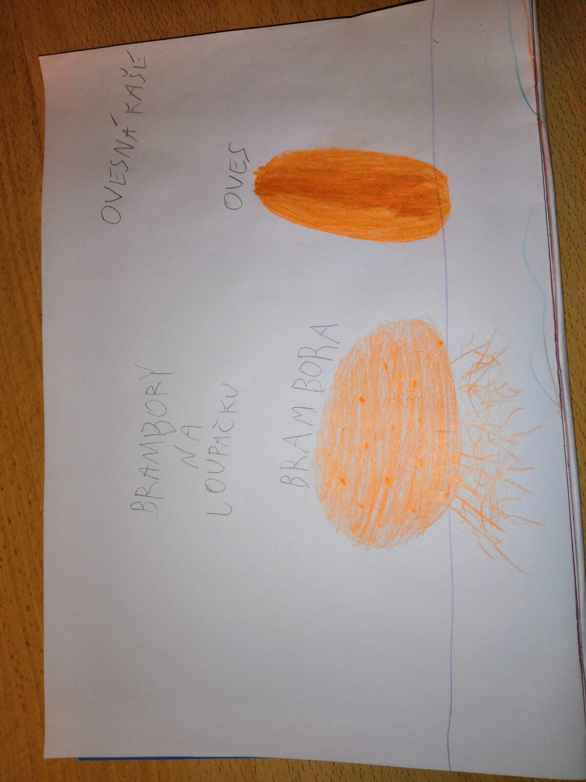 Distanční výuka ve třetí třídě 23. 10. - 8