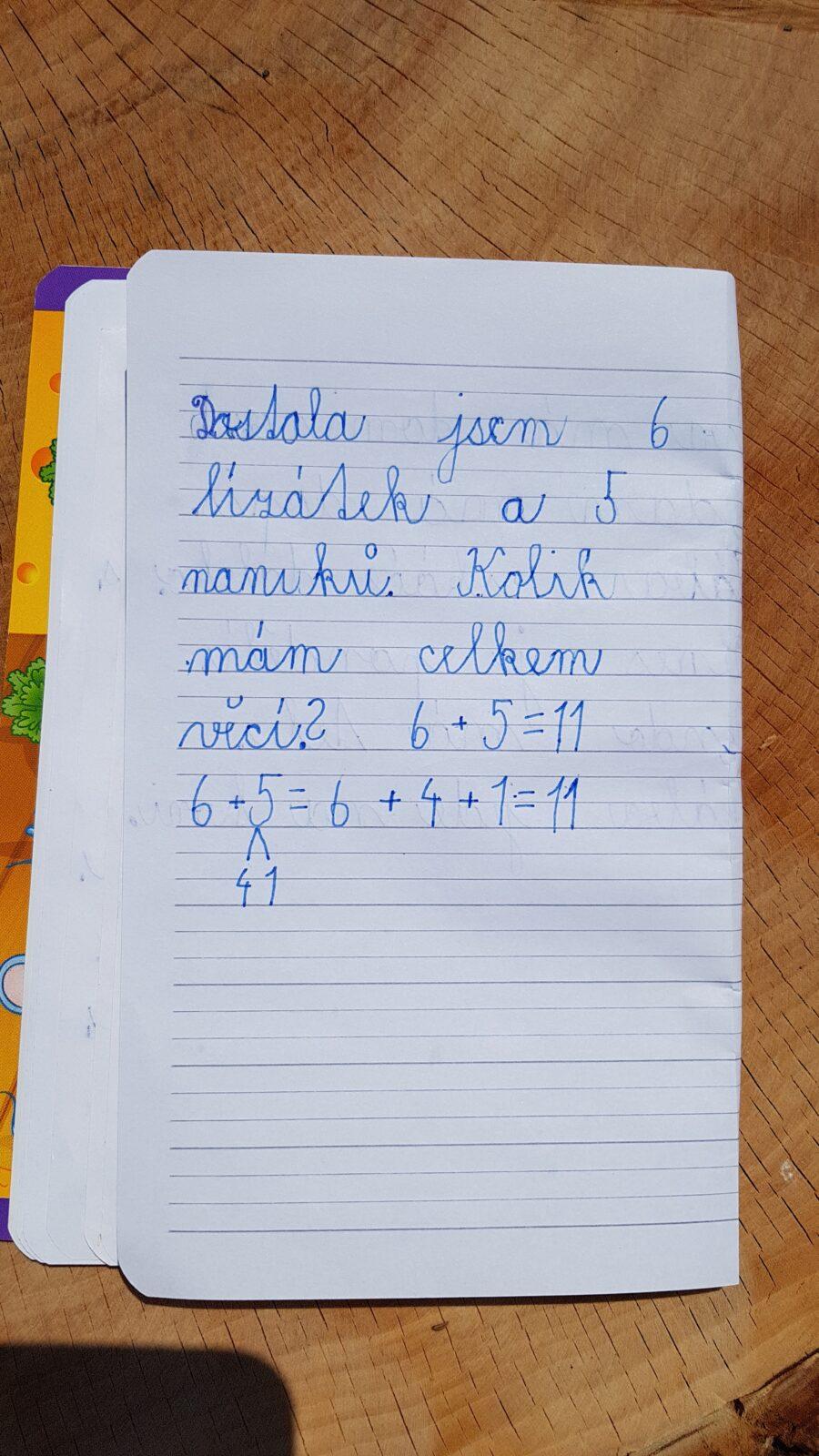 Domškoláctví u prvňáků - 13