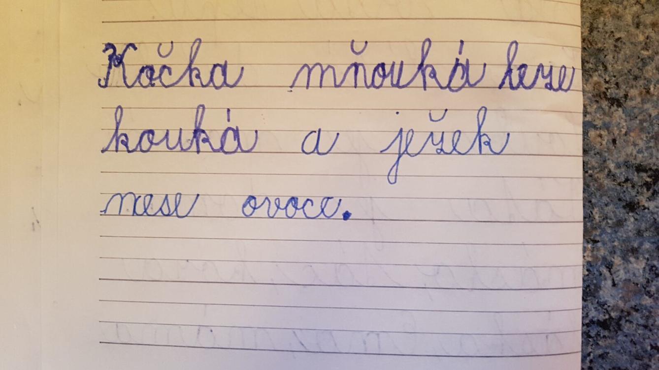 Domškoláctví u prvňáků - 12