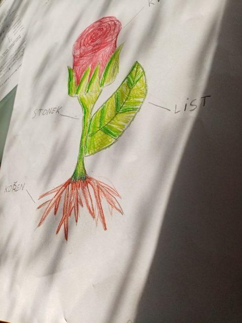 Výstupy druháčků z domácího učení 6. 4. - 6