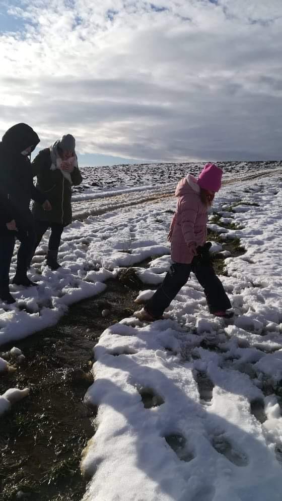 Po stopách zvířátek...družinka - 19