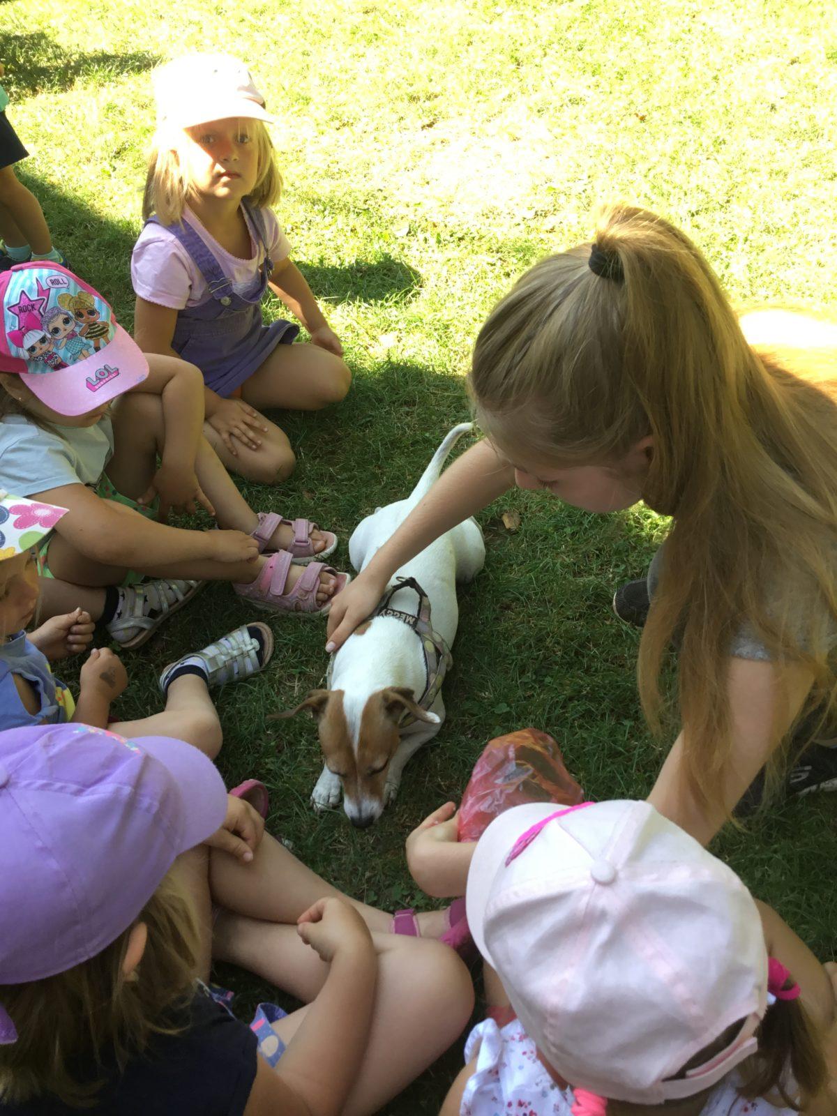 Vzpomínka na prázdniny - cvičení s pejskem - 21