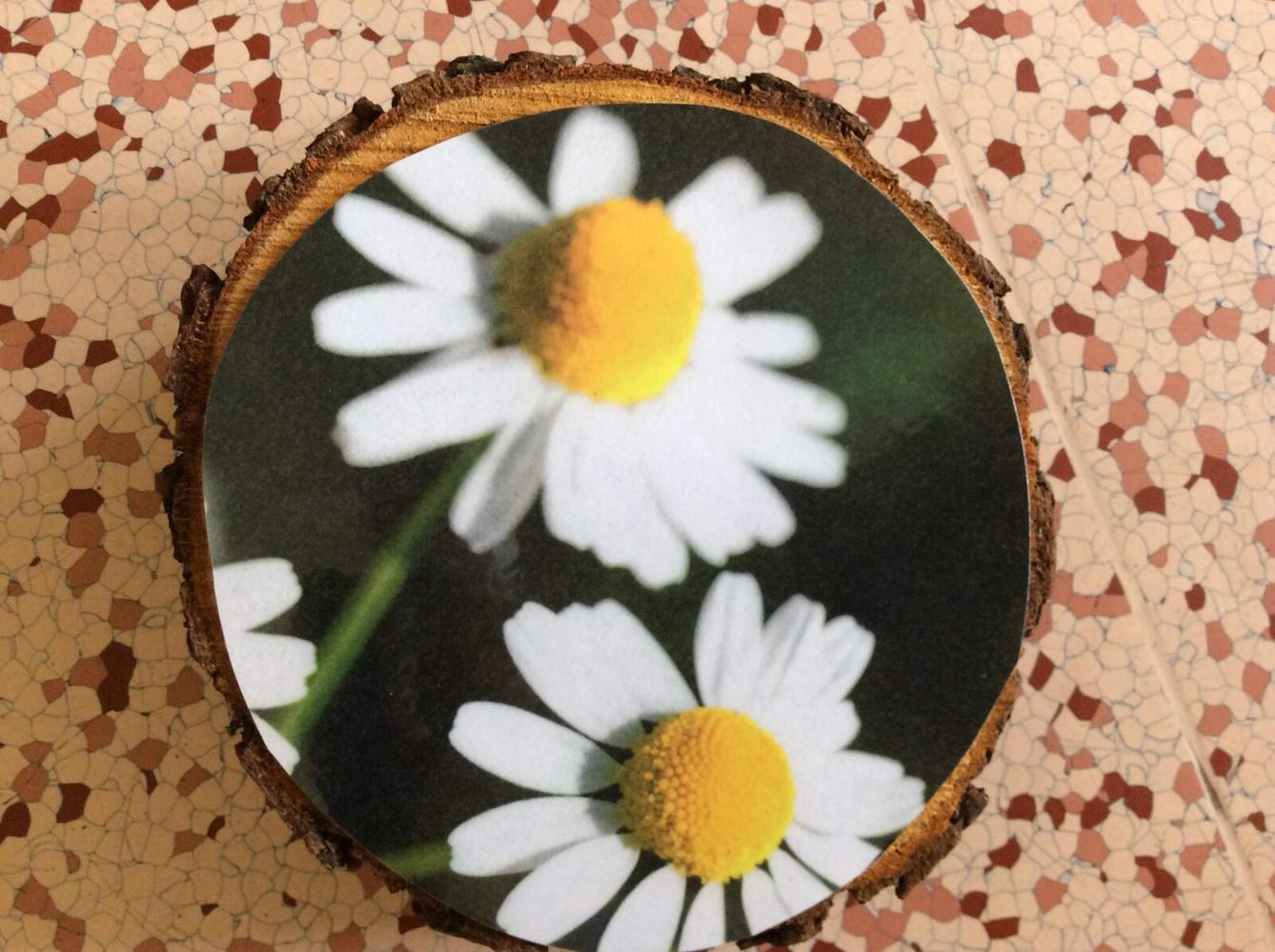 Čarovné bylinky ve družince - 23