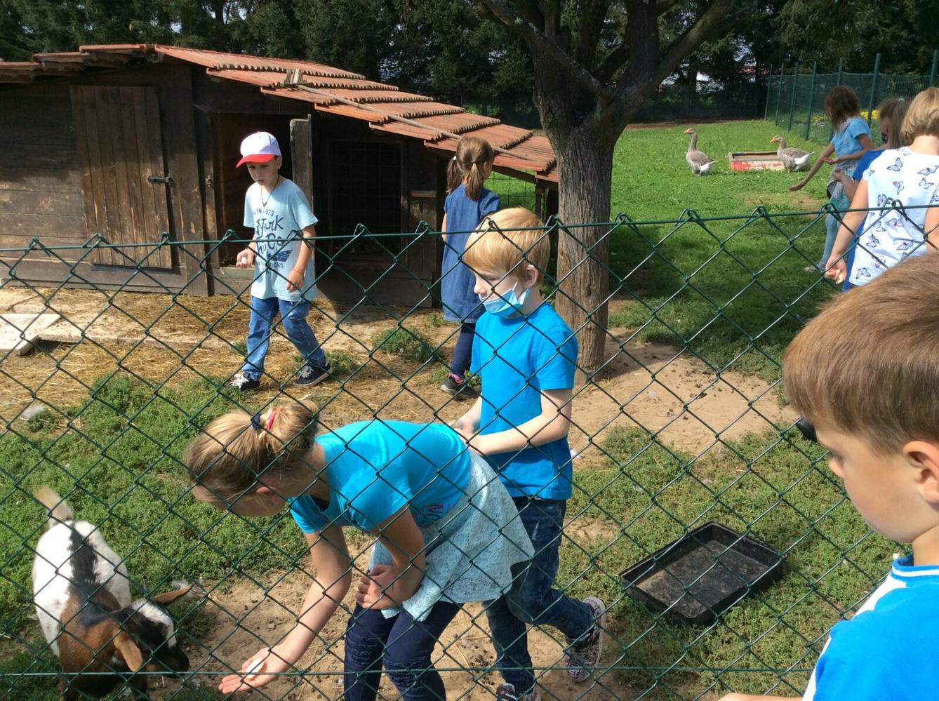 Družinka v zahradnictví - 18