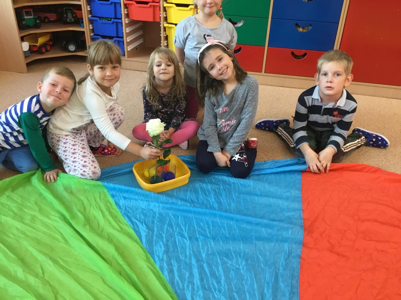 Klokánci: Barevný svět kolem nás - 29