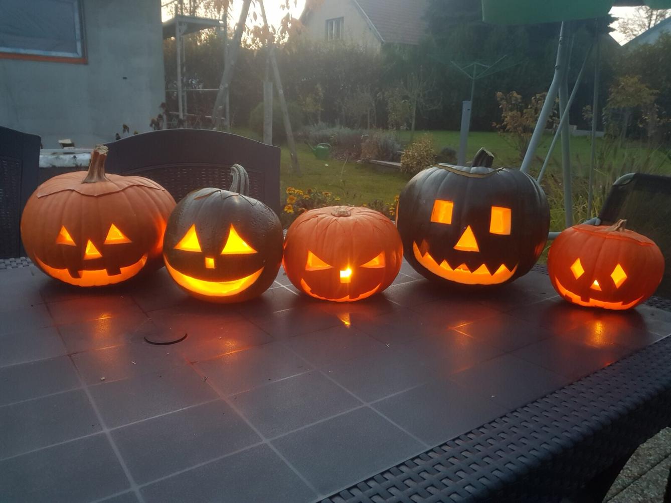 5.B Škola doma - 10