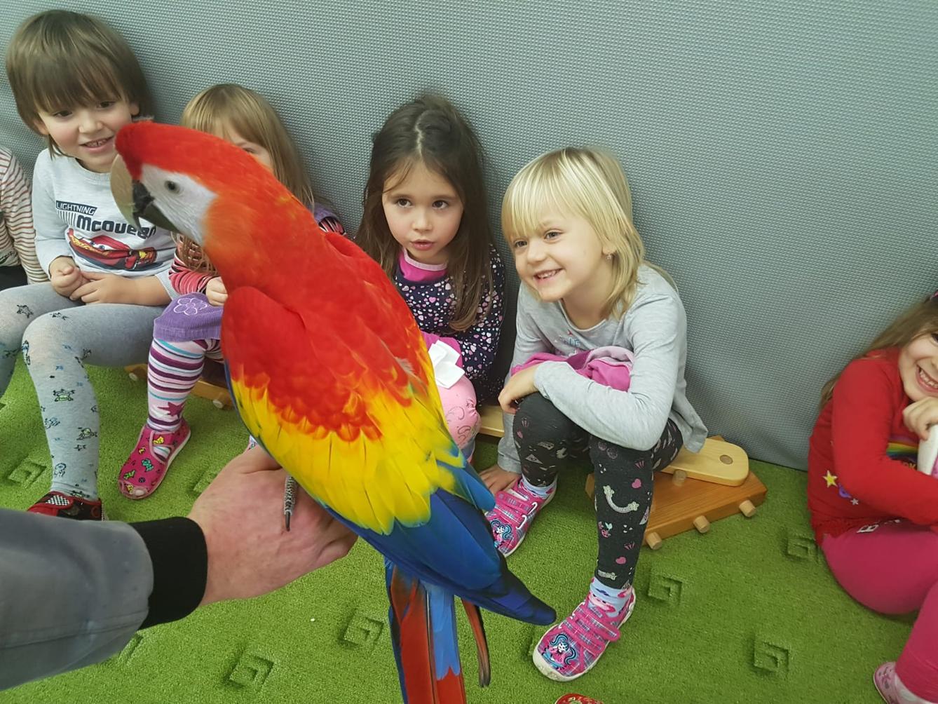 Papoušci v MŠ - 7