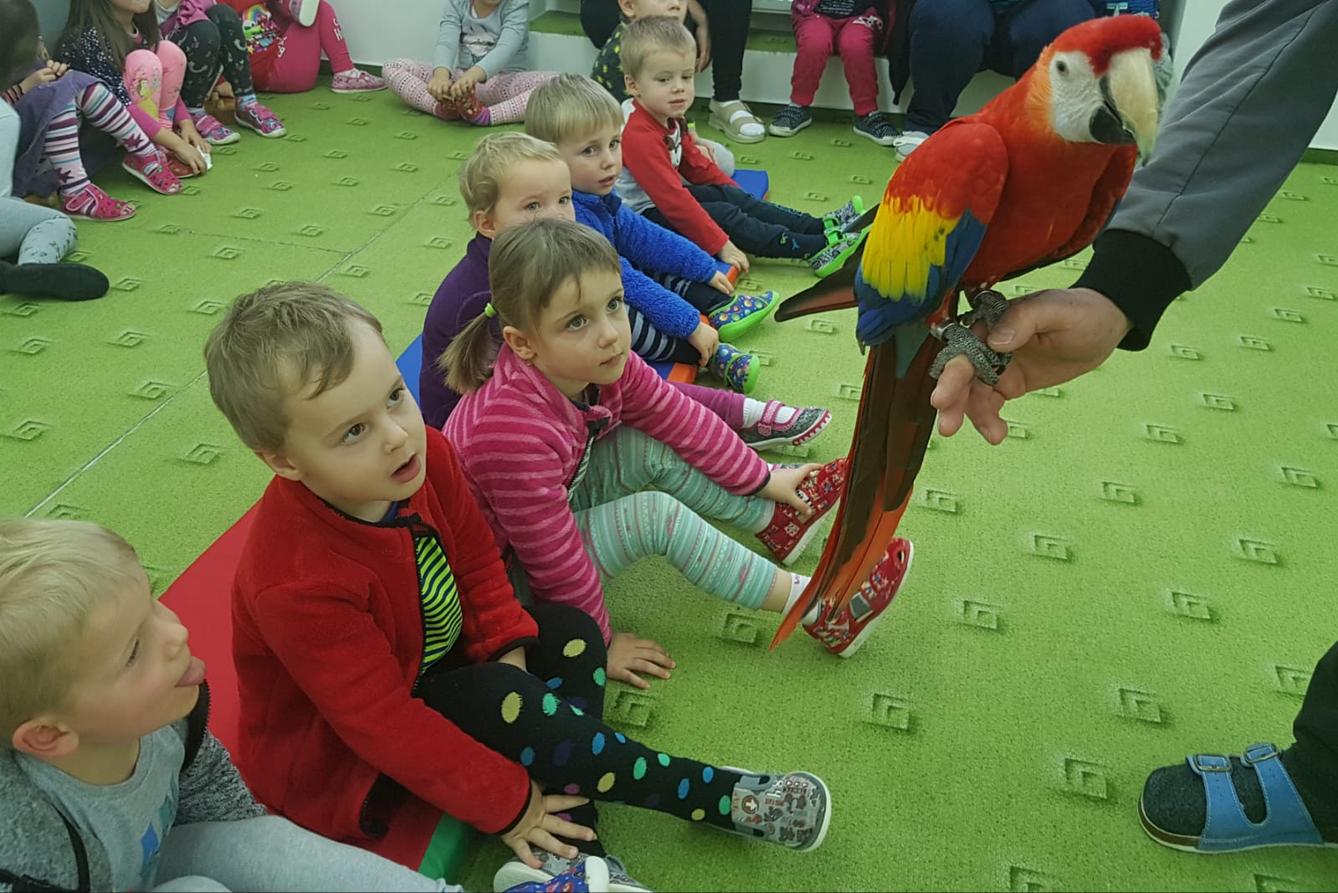 Papoušci v MŠ - 8