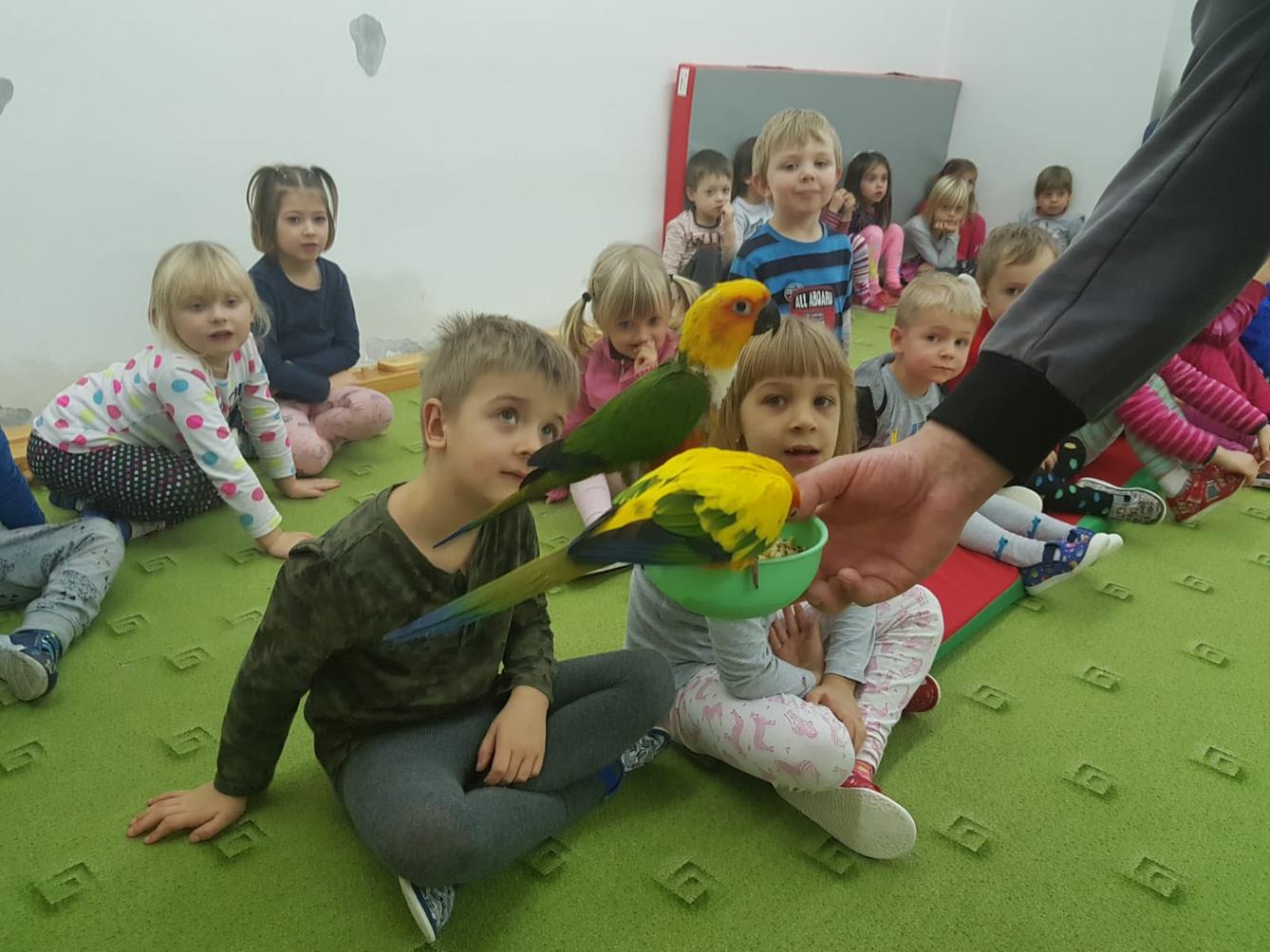 Papoušci v MŠ - 13