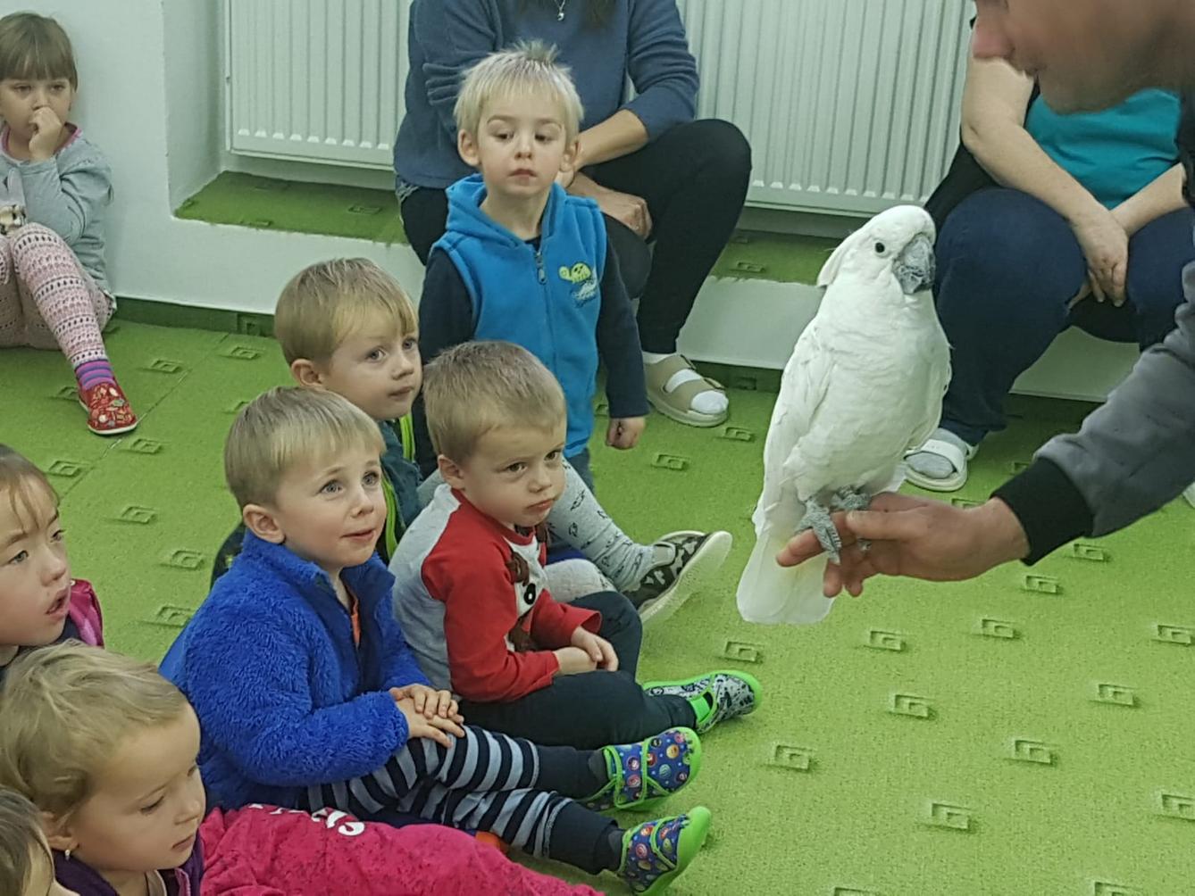 Papoušci v MŠ - 17