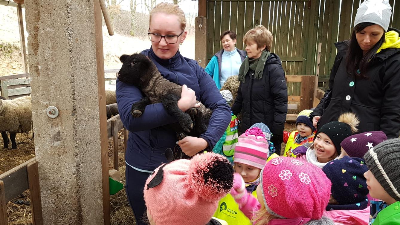 Máme rádi zvířata I.: ovečky - 8