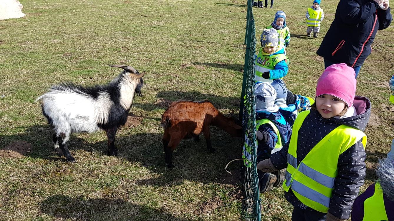 Máme rádi zvířata II.: kozičky - 1