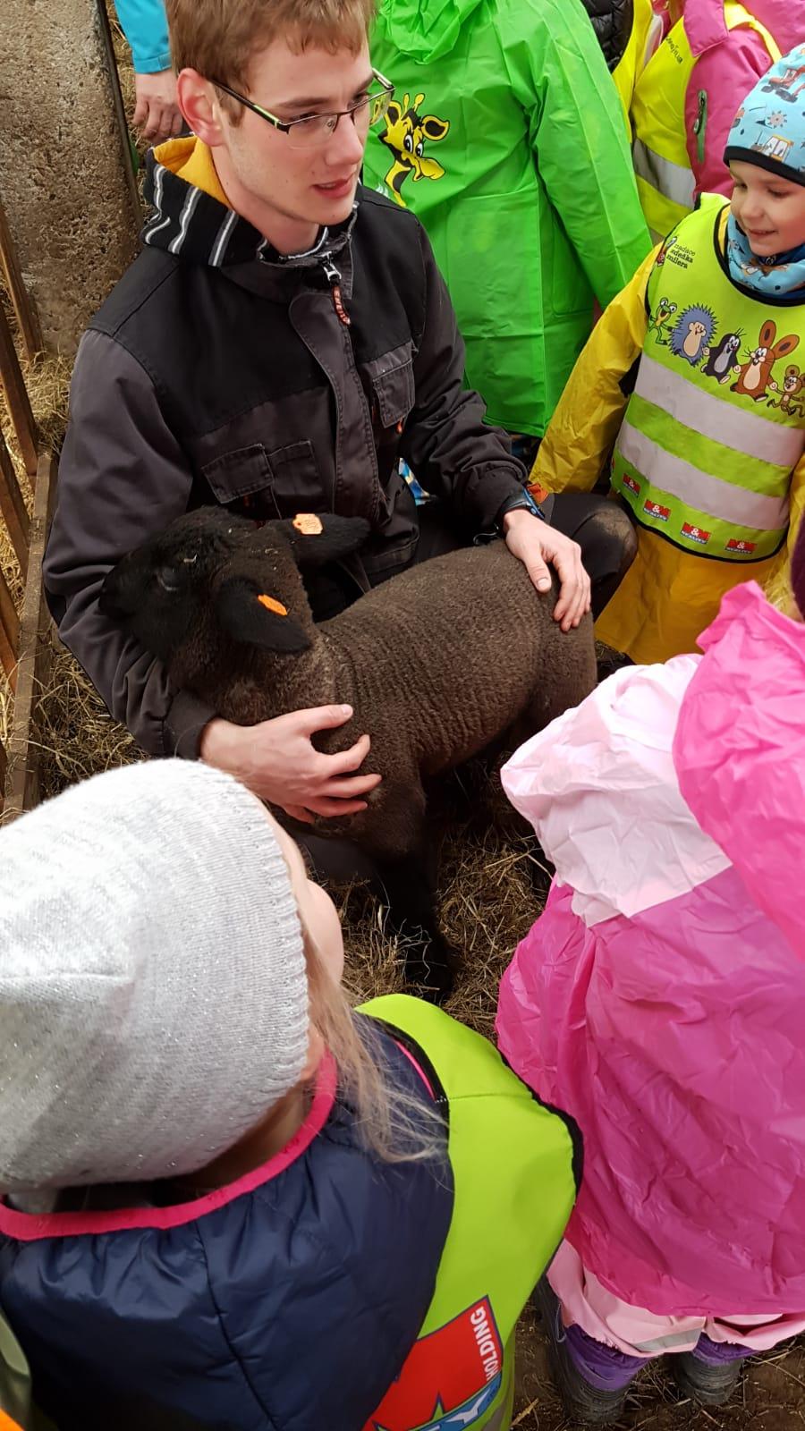 Máme rádi zvířata I.: ovečky - 12