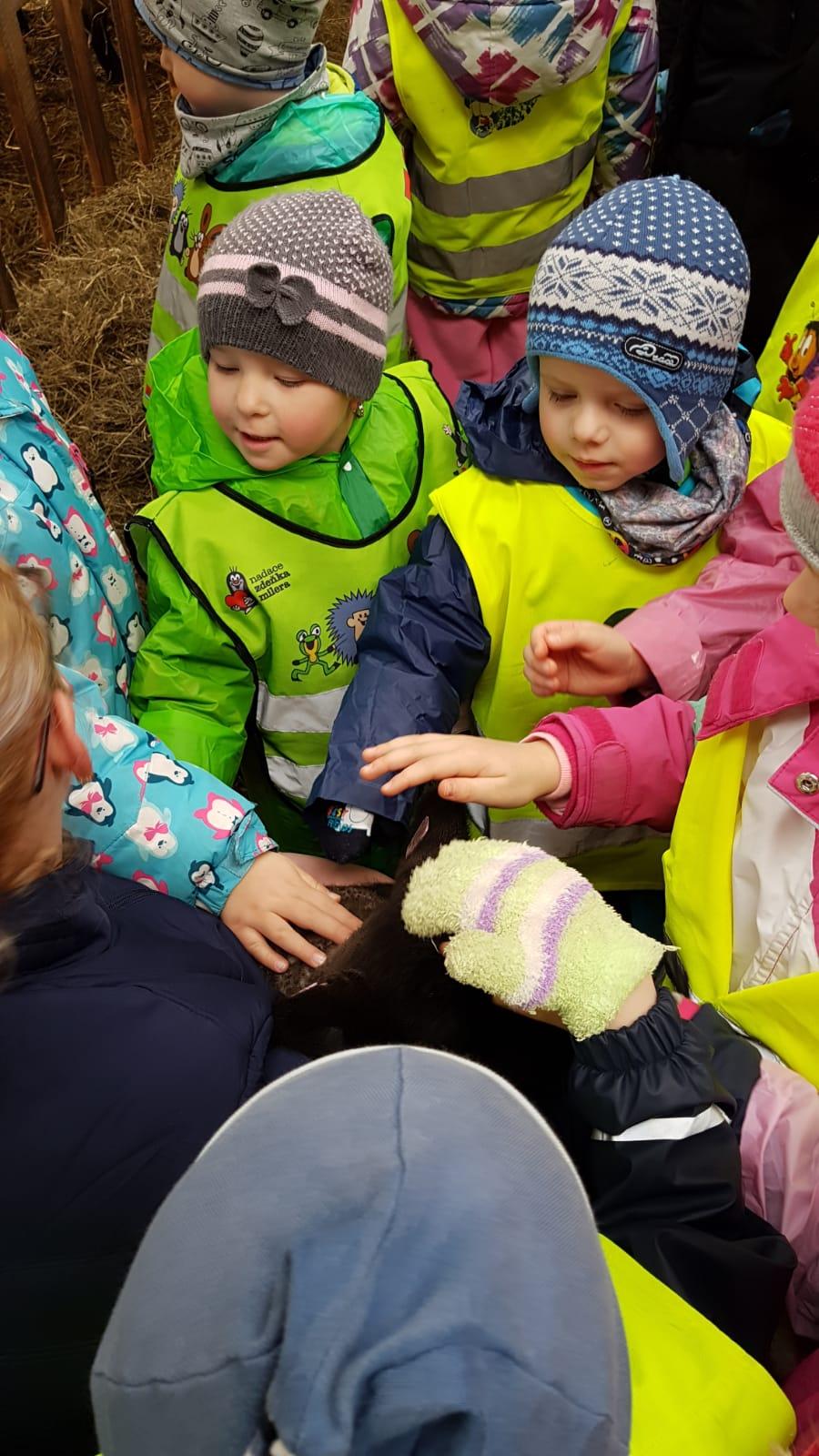 Máme rádi zvířata I.: ovečky - 13