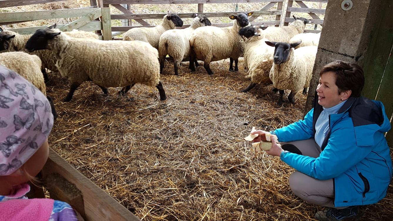 Máme rádi zvířata I.: ovečky - 16