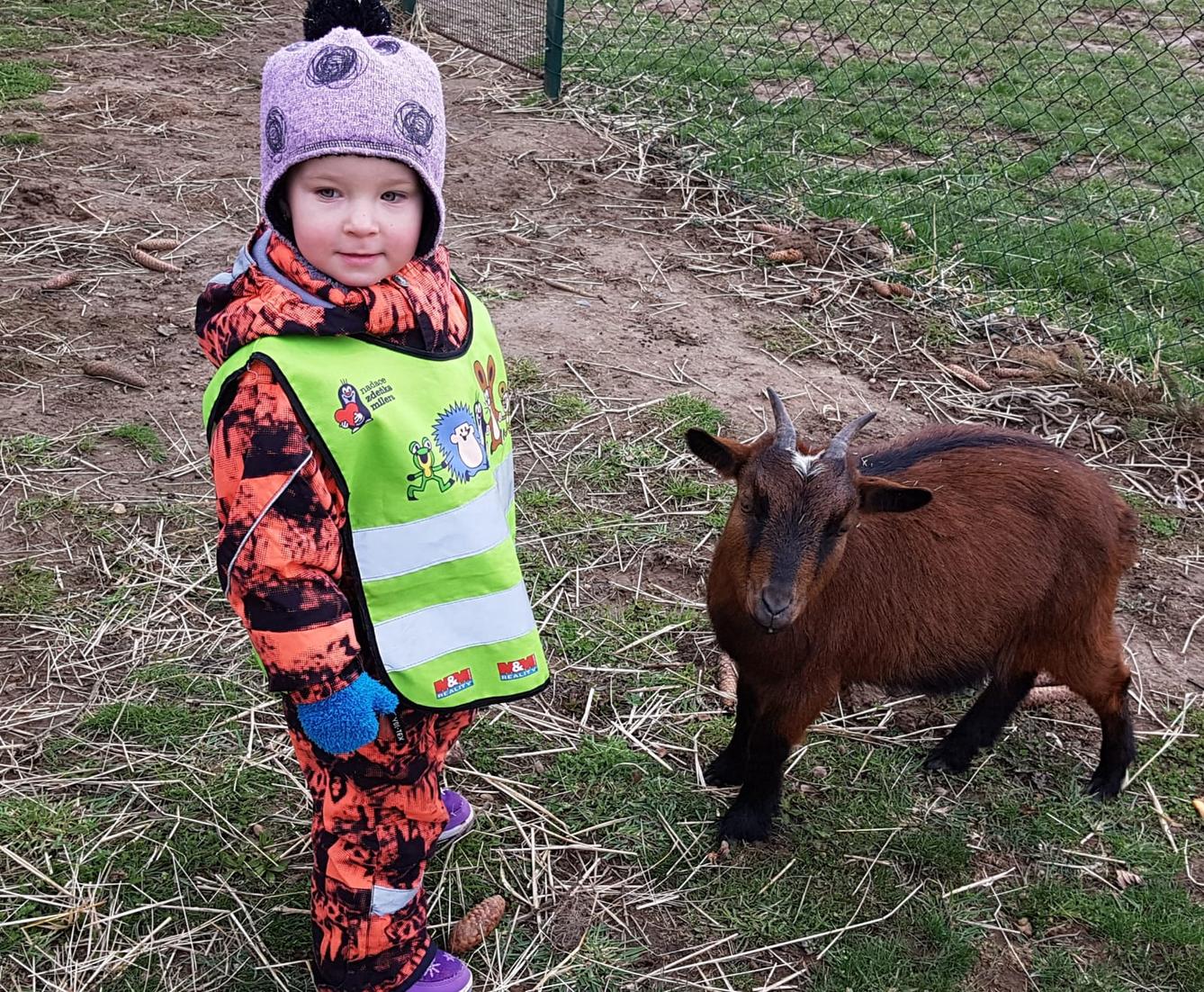 Máme rádi zvířata II.: kozičky - 5