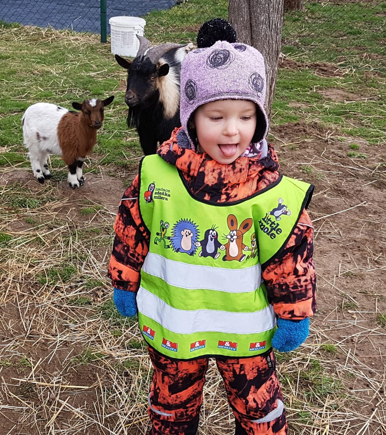 Máme rádi zvířata II.: kozičky - 6