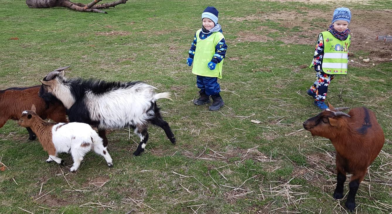 Máme rádi zvířata II.: kozičky - 8