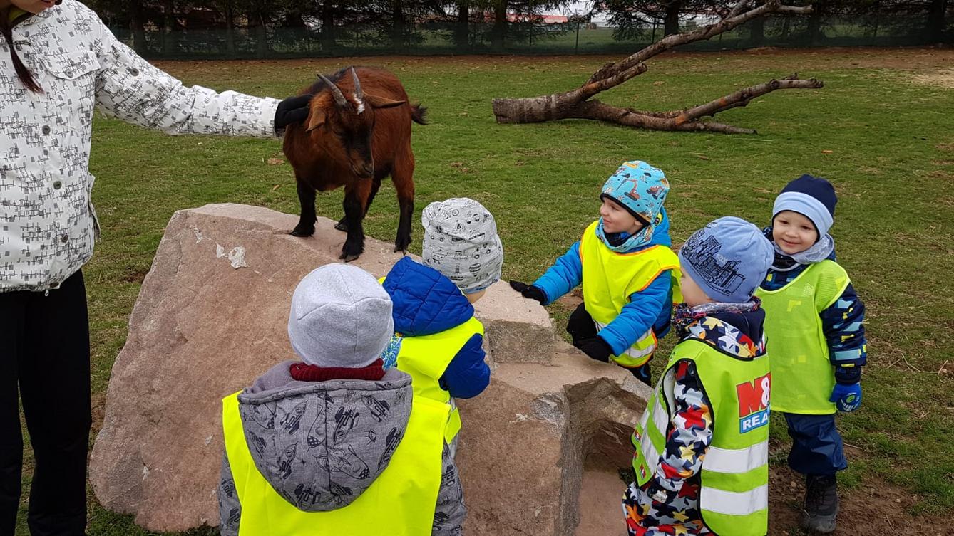 Máme rádi zvířata II.: kozičky - 9