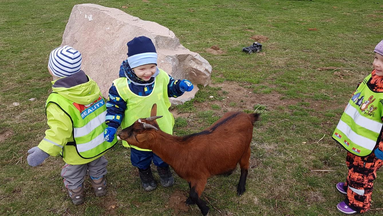 Máme rádi zvířata II.: kozičky - 10