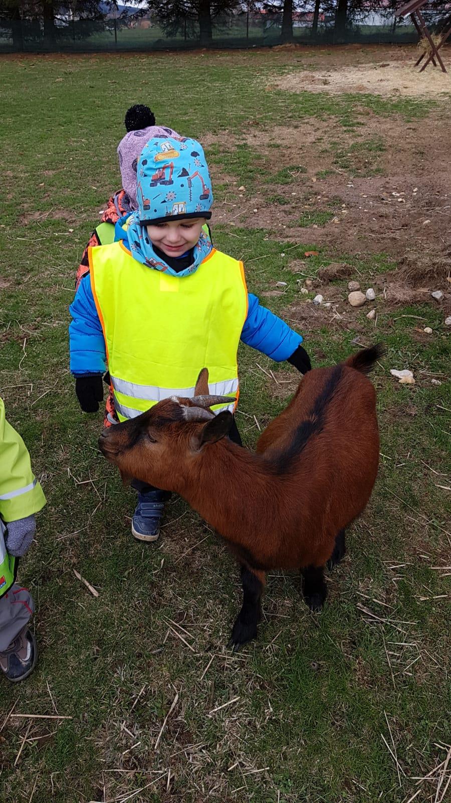 Máme rádi zvířata II.: kozičky - 11