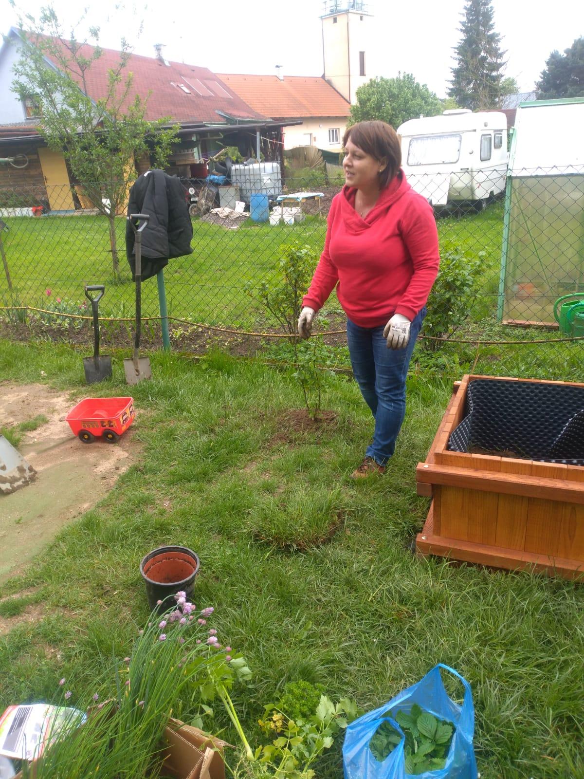 workshop zahrada:-) - 3