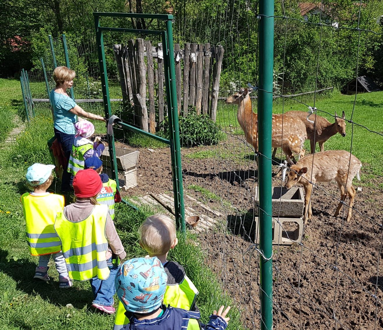 Vycházka za jeleny a návštěva lesní školky - 1