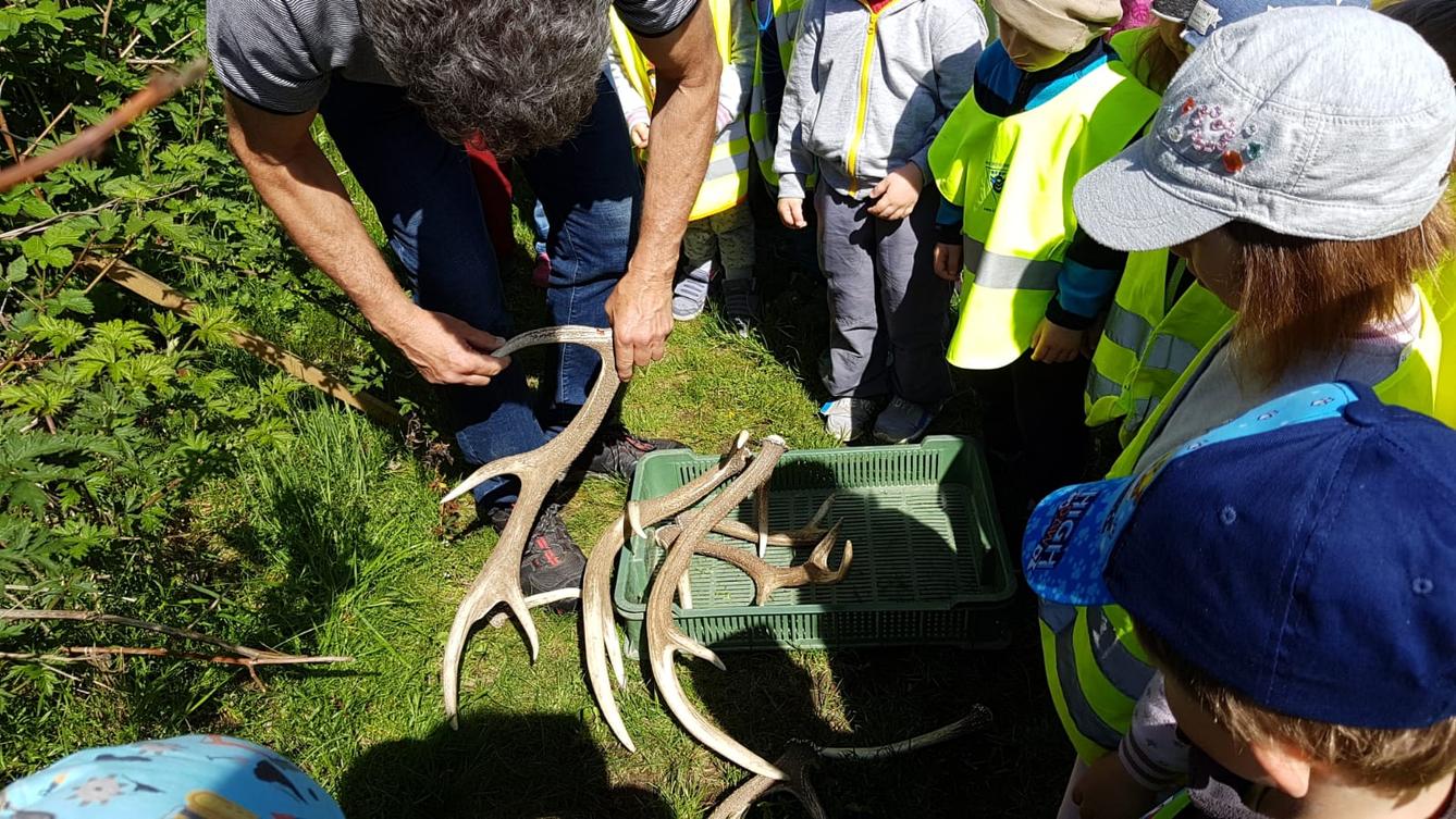 Vycházka za jeleny a návštěva lesní školky - 2