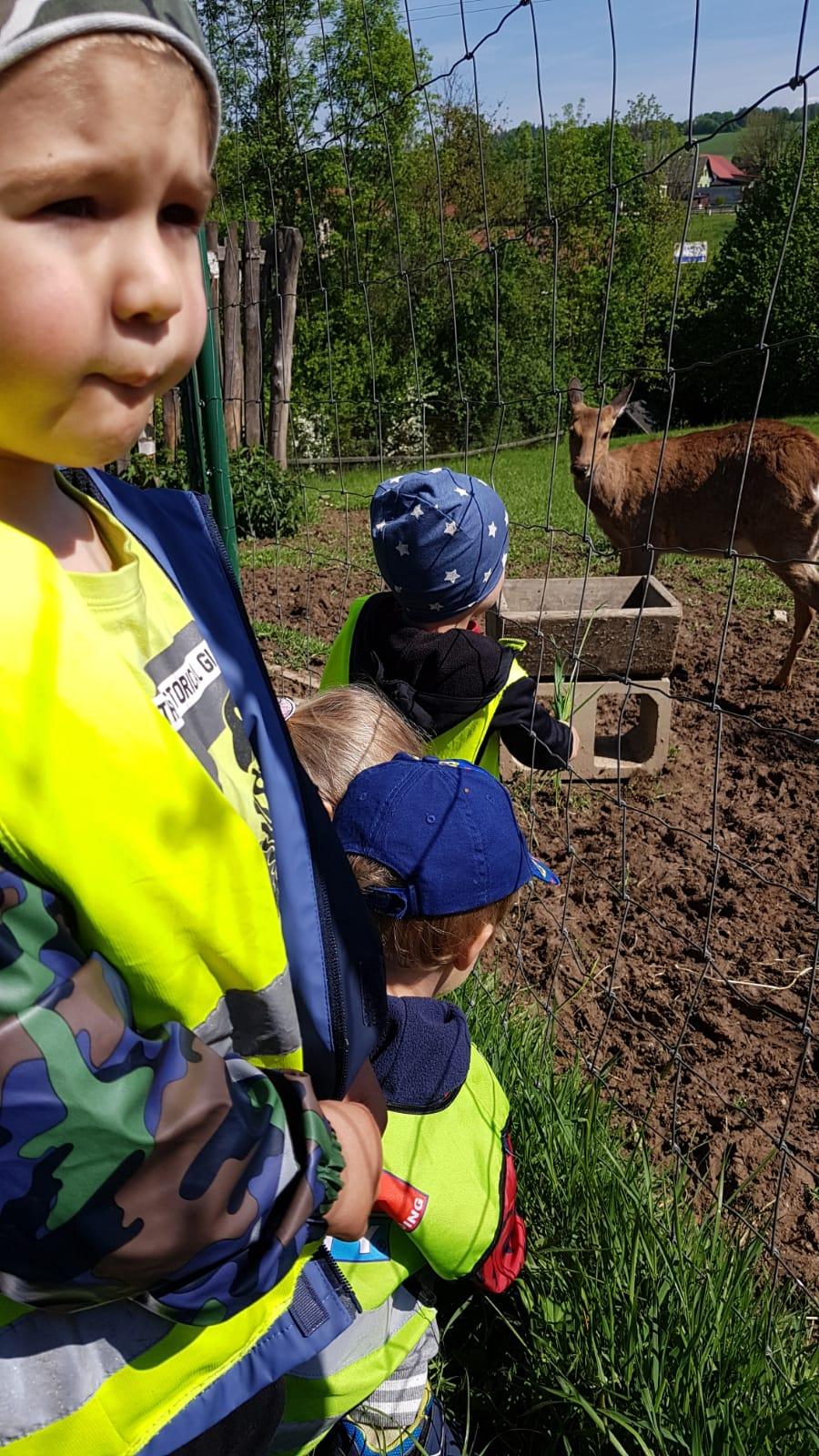 Vycházka za jeleny a návštěva lesní školky - 4