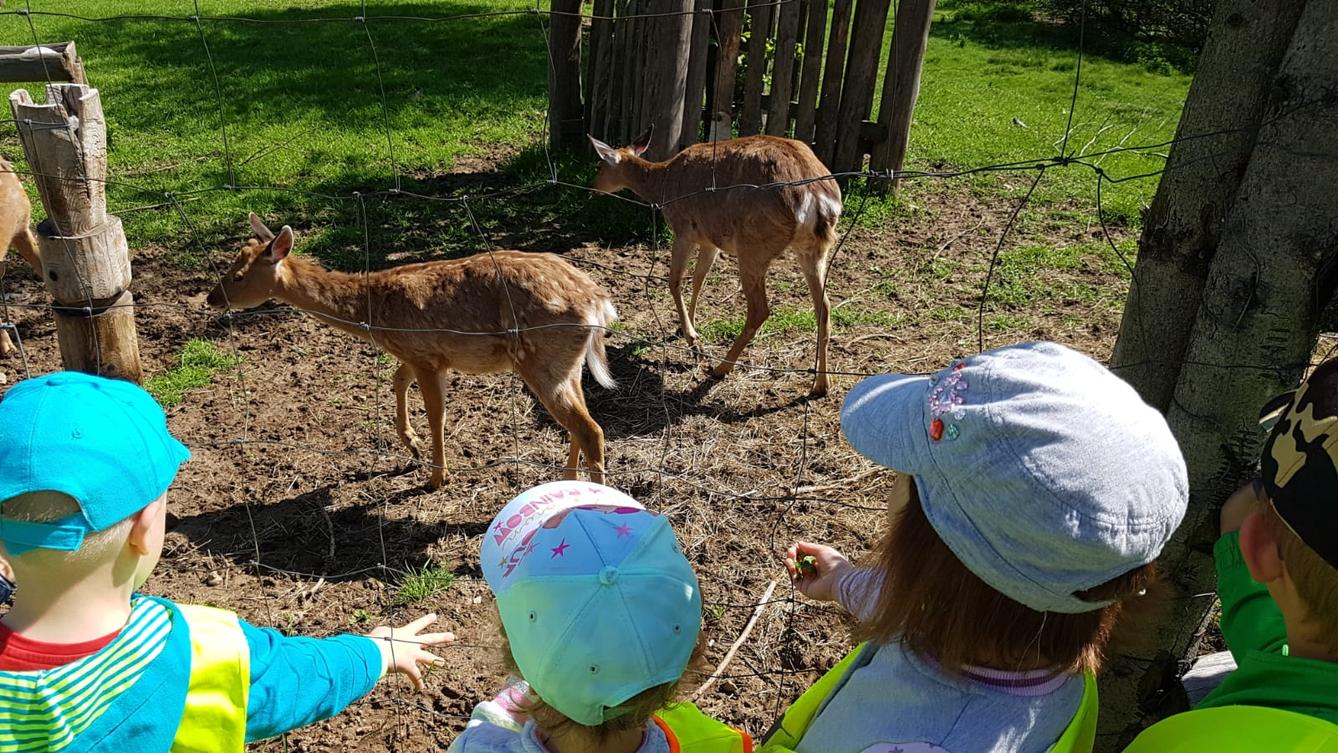 Vycházka za jeleny a návštěva lesní školky - 6