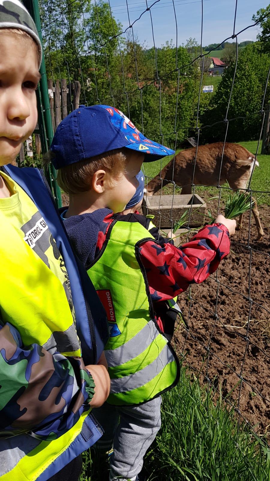 Vycházka za jeleny a návštěva lesní školky - 7