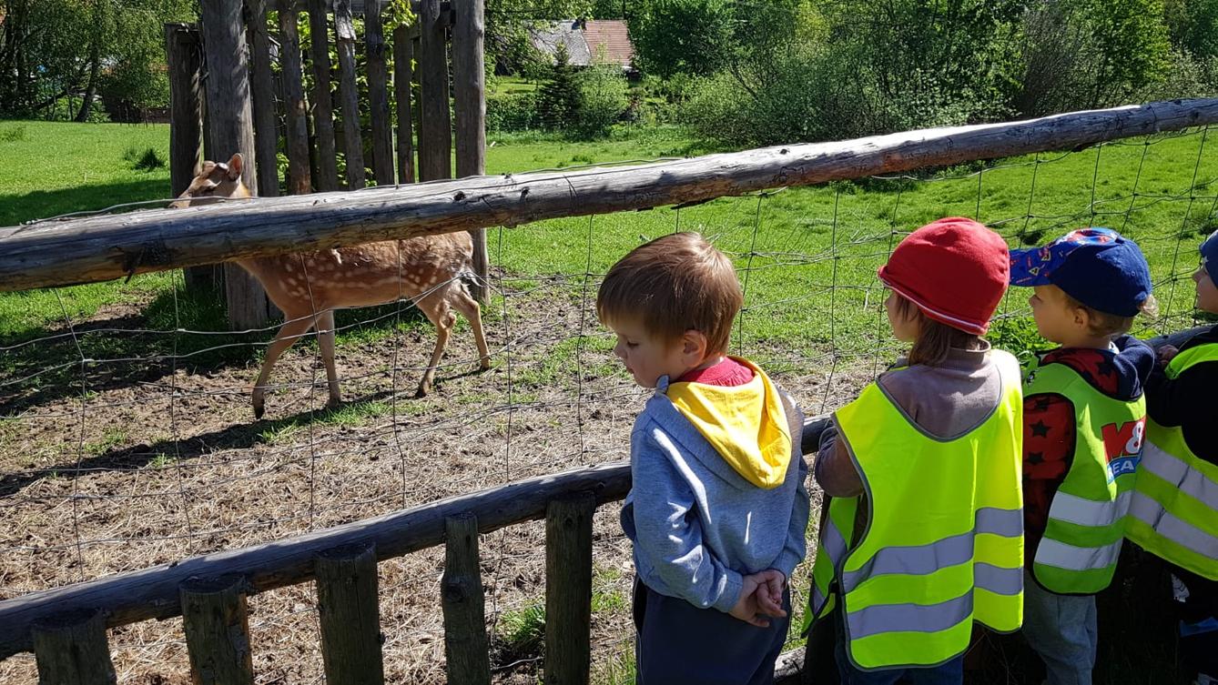 Vycházka za jeleny a návštěva lesní školky - 8
