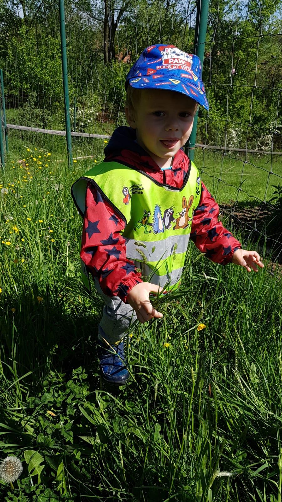 Vycházka za jeleny a návštěva lesní školky - 9