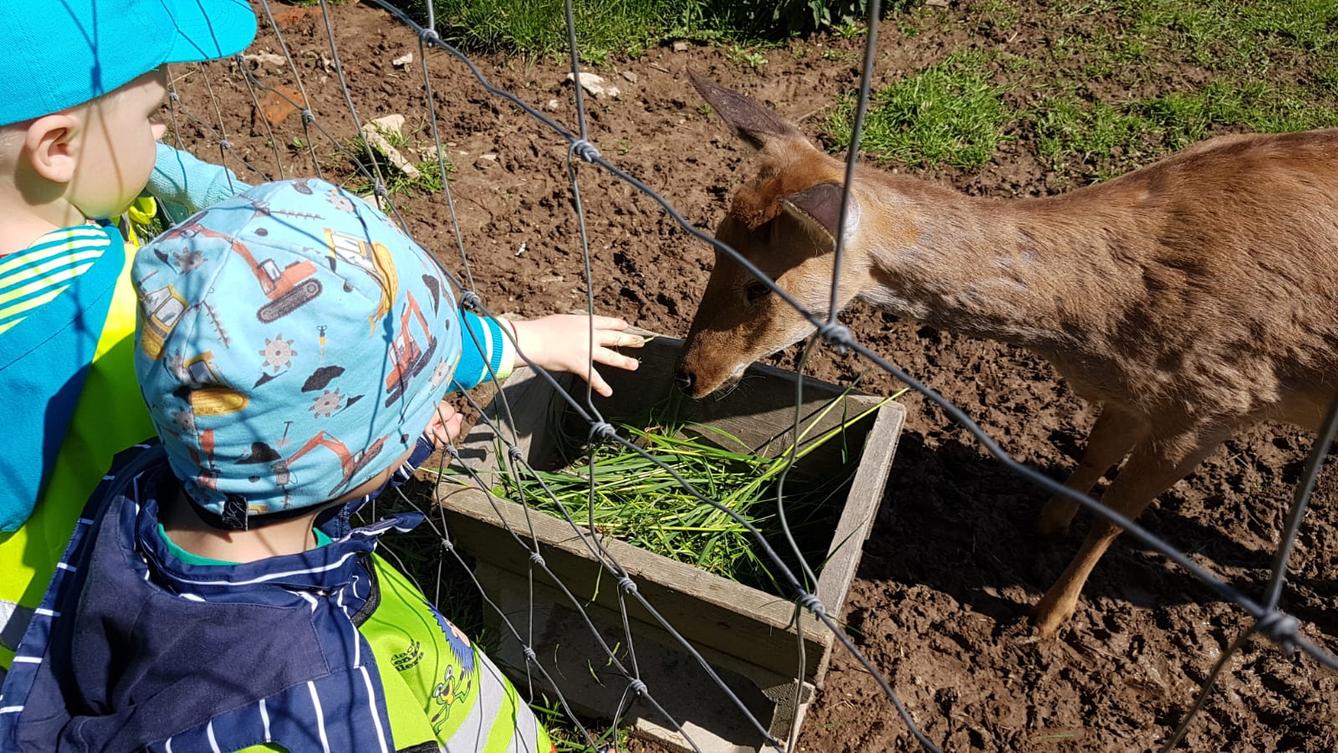 Vycházka za jeleny a návštěva lesní školky - 14