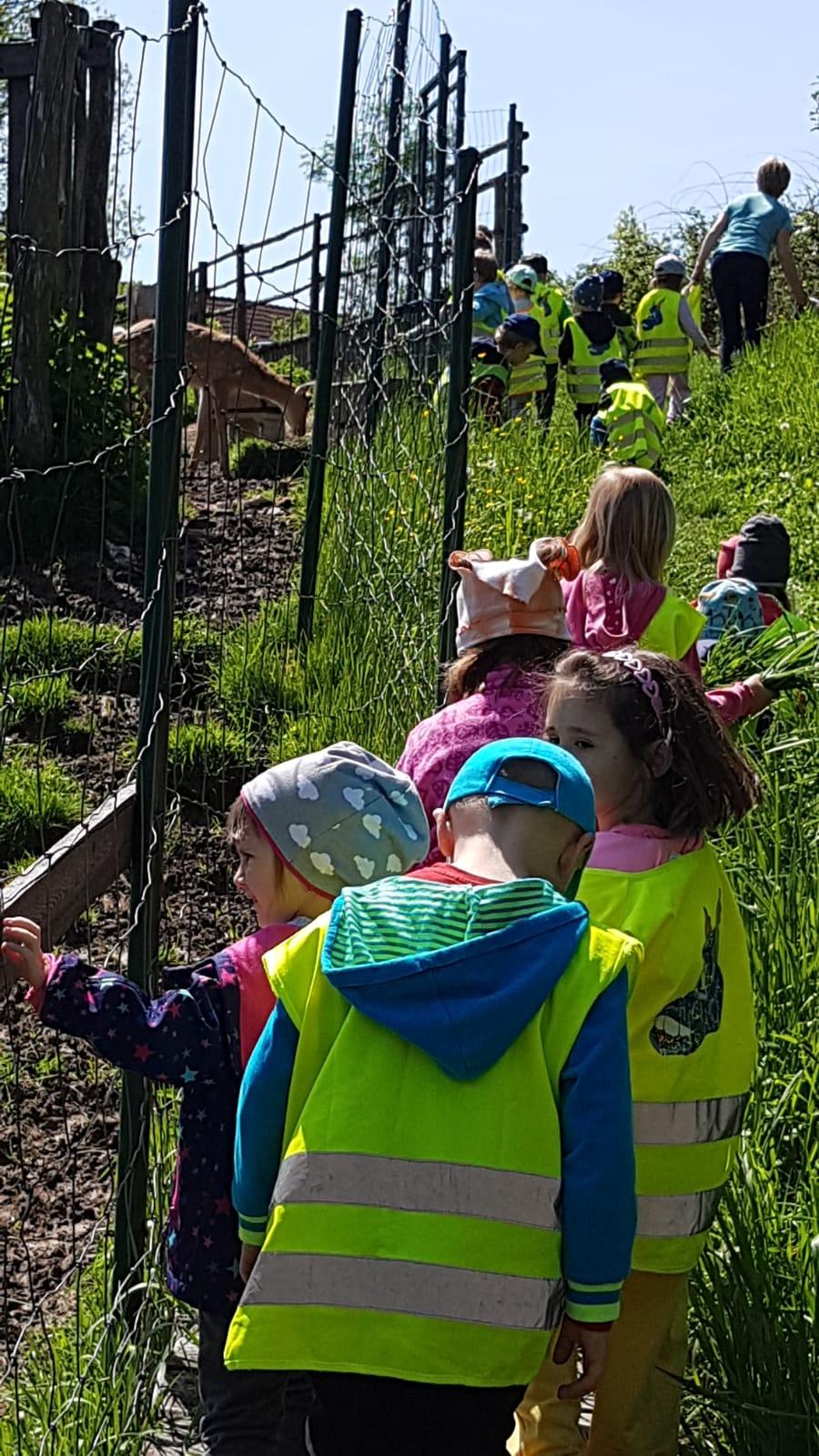 Vycházka za jeleny a návštěva lesní školky - 28