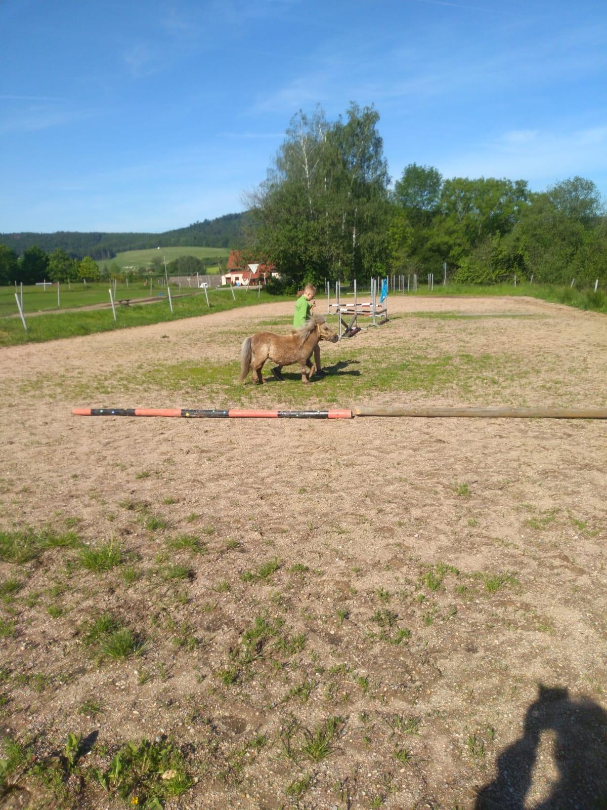 Máme rádi zvířata: Koníci - 3