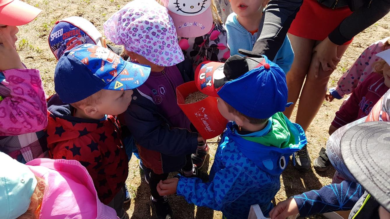 Máme rádi zvířata: Koníci - 5