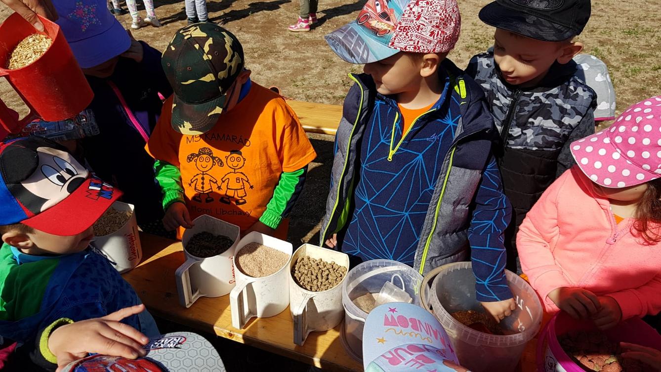 Máme rádi zvířata: Koníci - 6