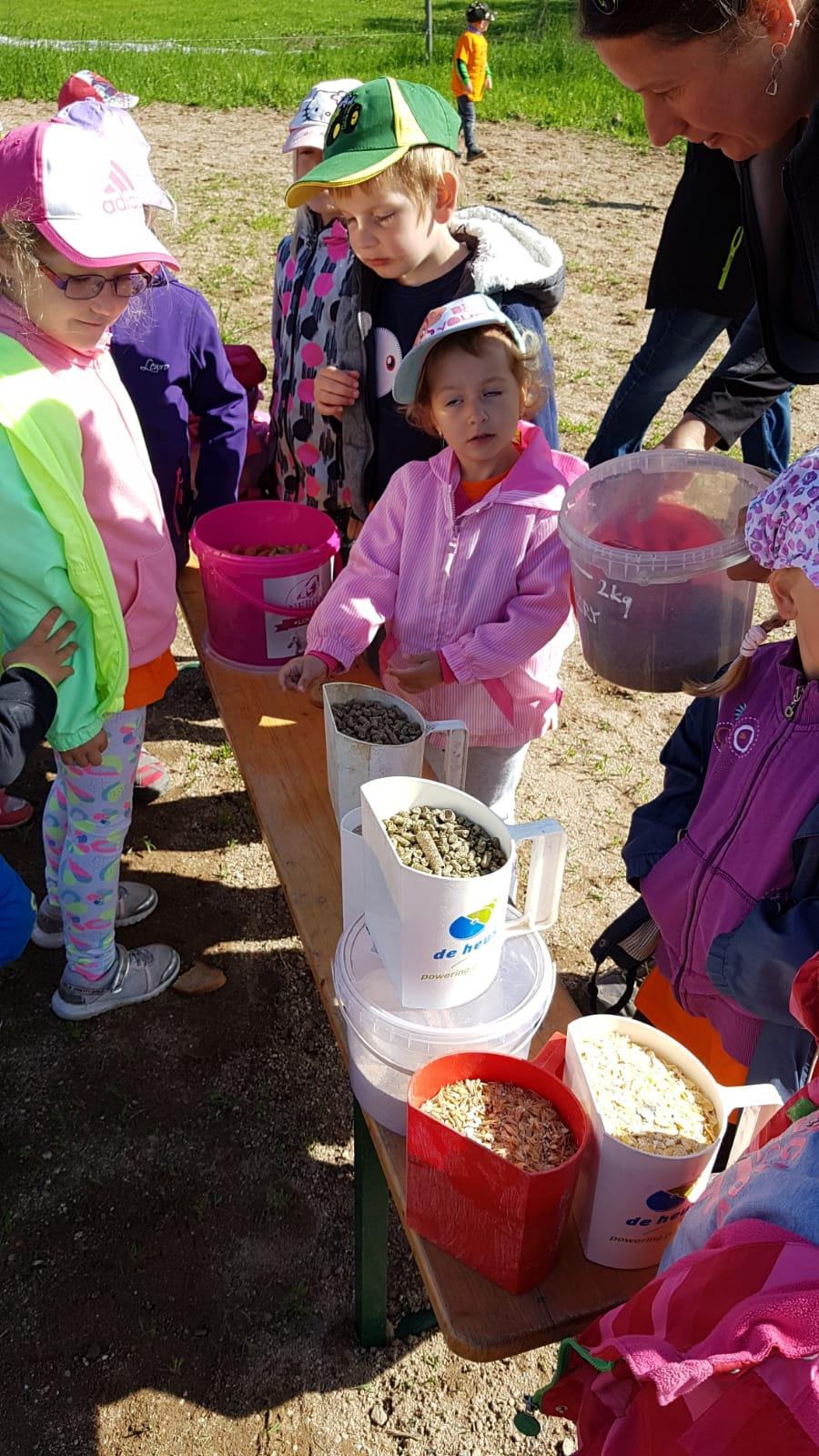 Máme rádi zvířata: Koníci - 9