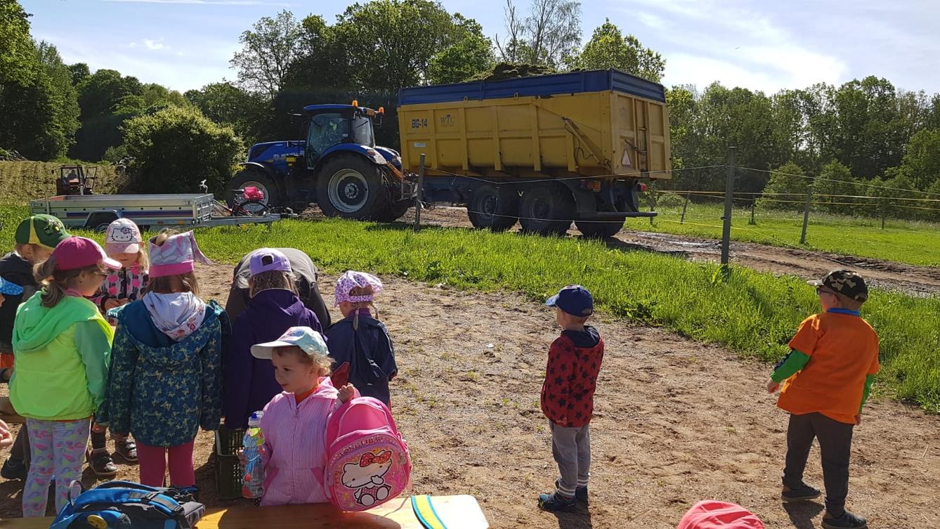 Máme rádi zvířata: Koníci - 10