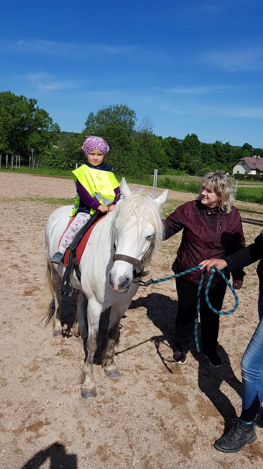 Máme rádi zvířata: Koníci - 12