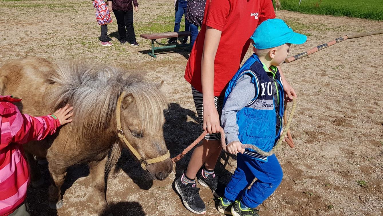 Máme rádi zvířata: Koníci - 13