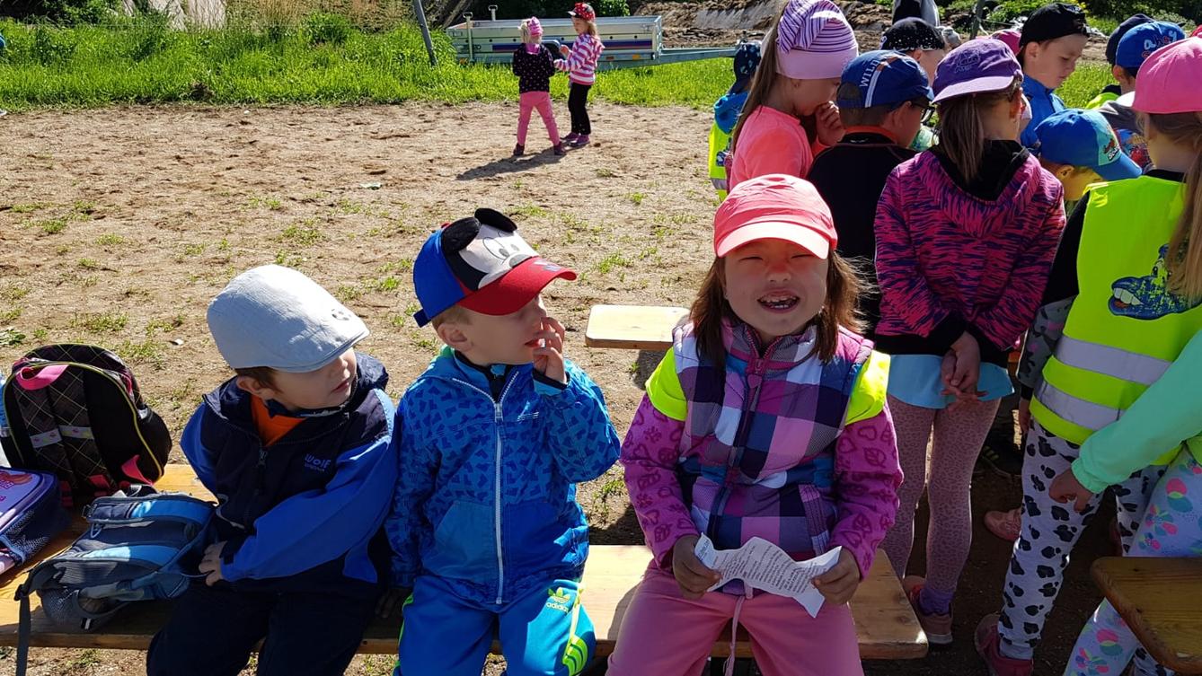 Máme rádi zvířata: Koníci - 15