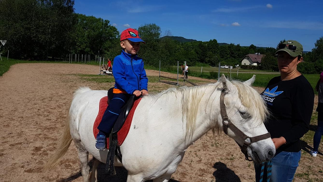 Máme rádi zvířata: Koníci - 16