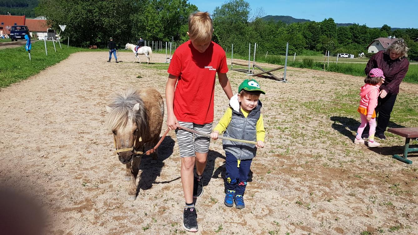 Máme rádi zvířata: Koníci - 17