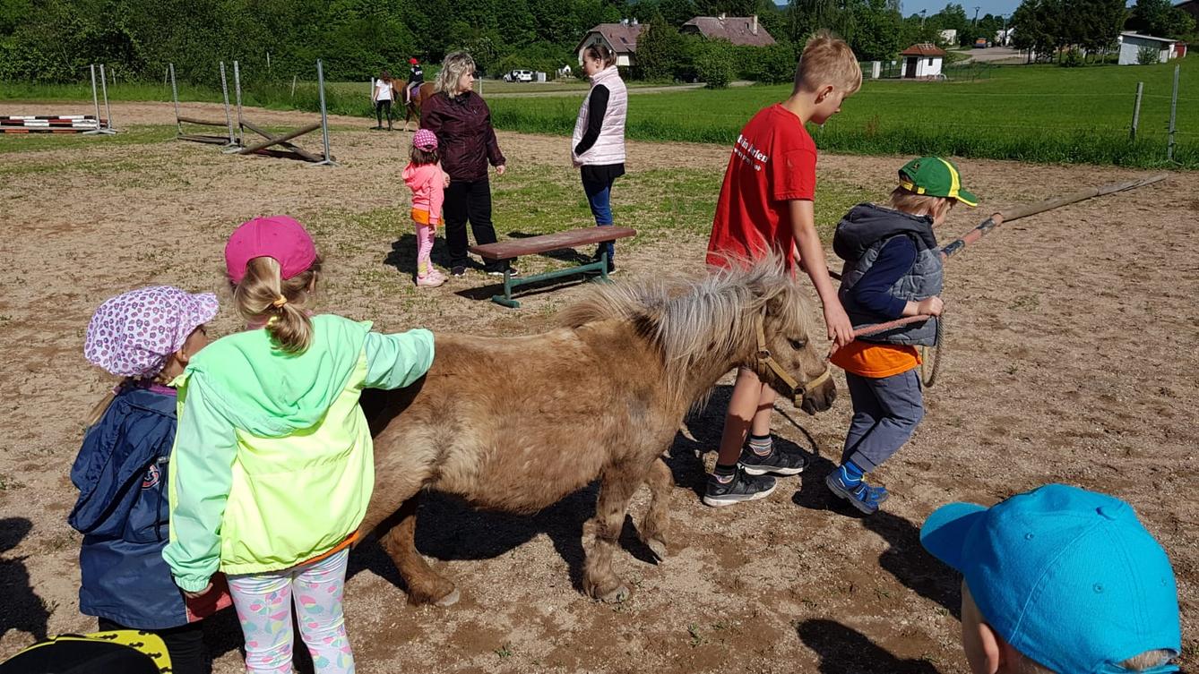 Máme rádi zvířata: Koníci - 18