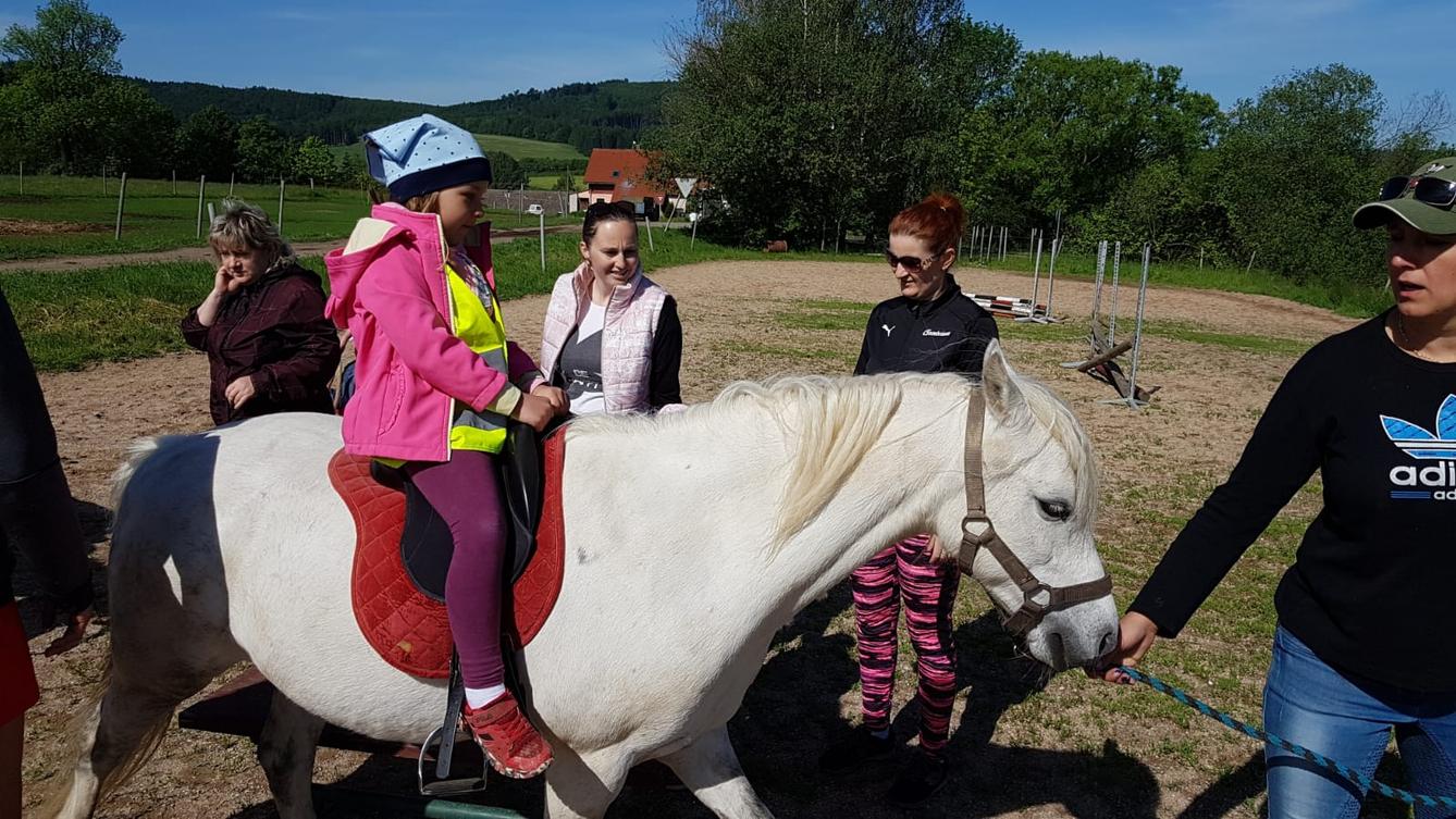 Máme rádi zvířata: Koníci - 19