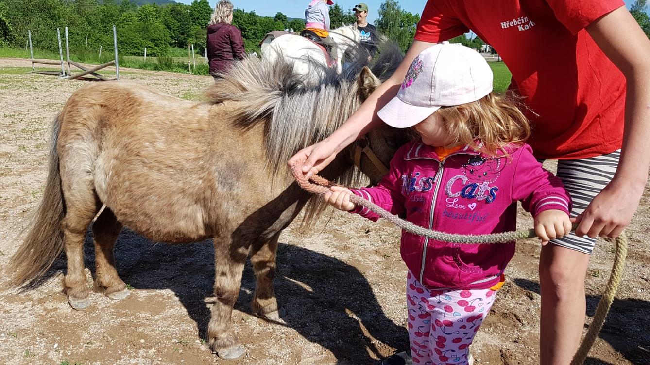 Máme rádi zvířata: Koníci - 20
